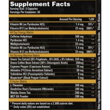 Alpha Shredder Alpha Lion Alpha Lion